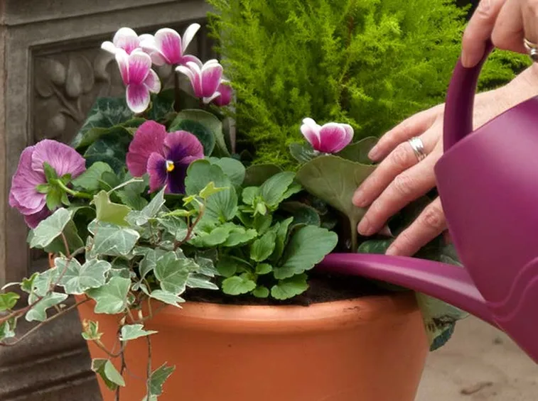 Irrigazione giardino