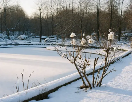 orto botancio stoccarda