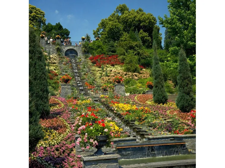 TIPOLOGIE DI GIARDINI