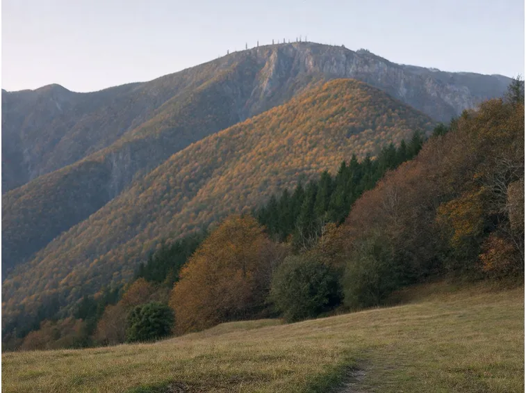 Monte Falterona
