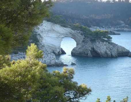 Scorcio del Parco Gargano