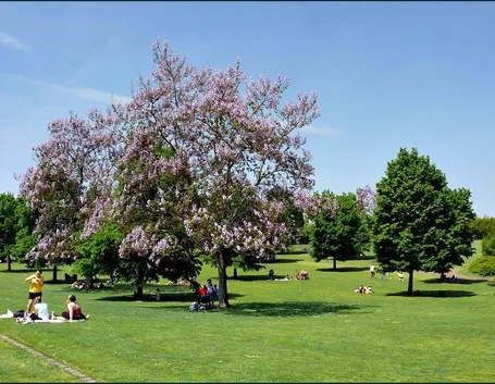 Parco giardino Sigurtà