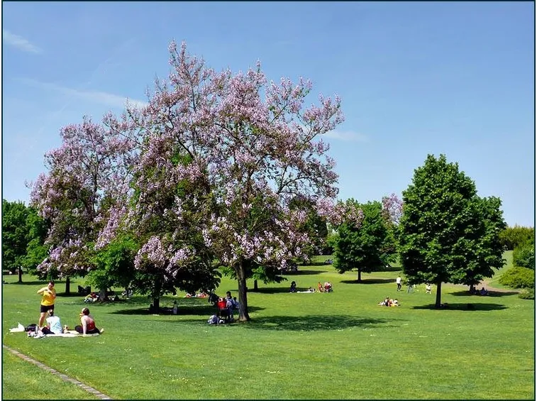 Parco giardino Sigurtà