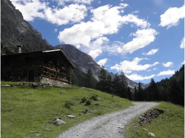 Veduta della Val Zebrù