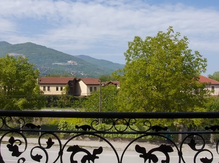 Alberi noce