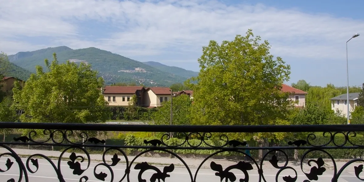 Alberi noce