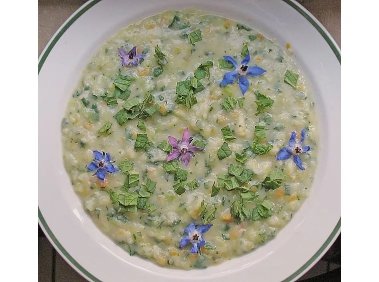 risotto borragine