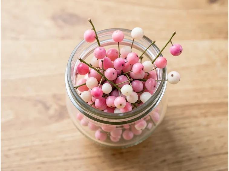 Bacche piante aromatiche