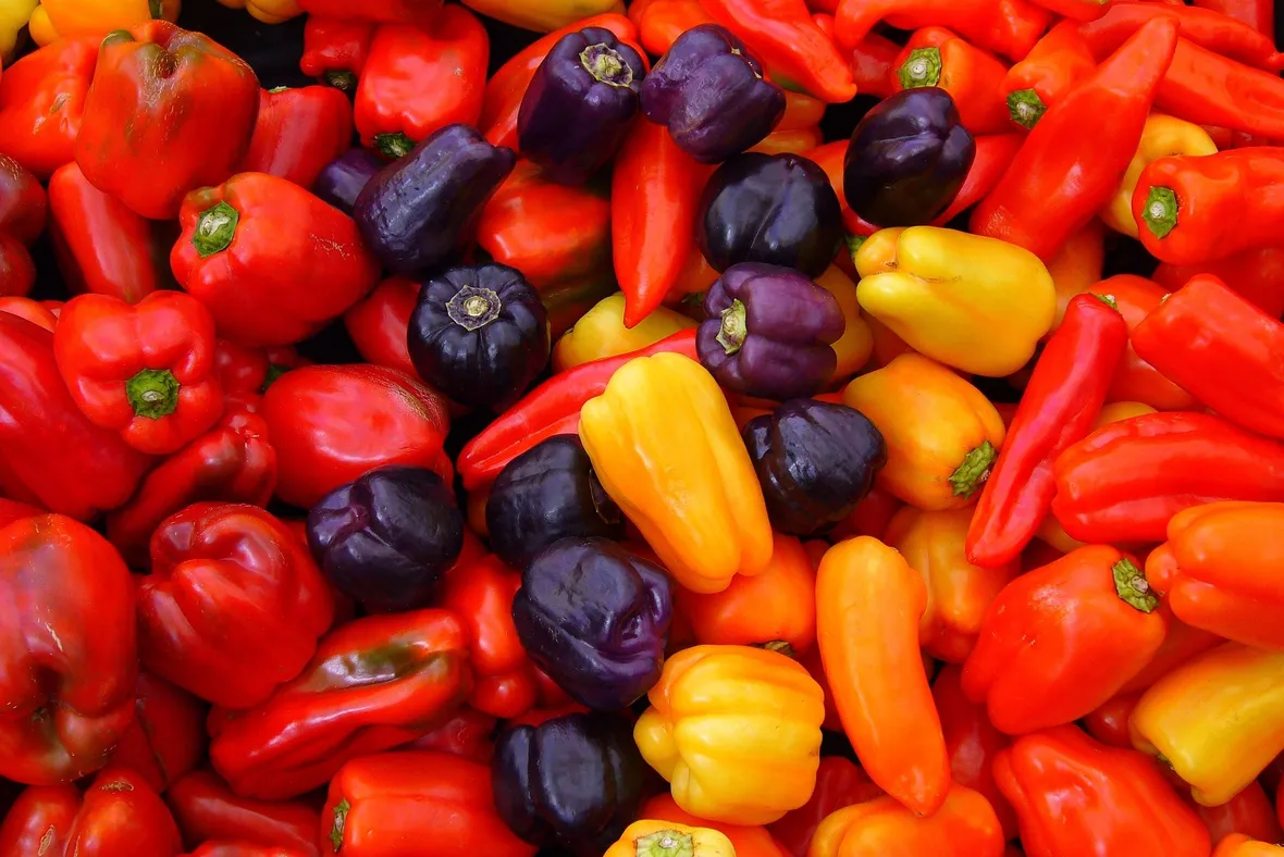 Varietà di peperoncino