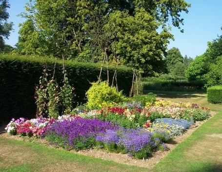aiuola giardino