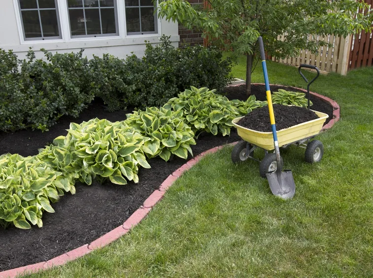 creazione giardino