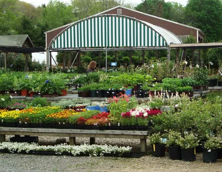 centro giardinaggio