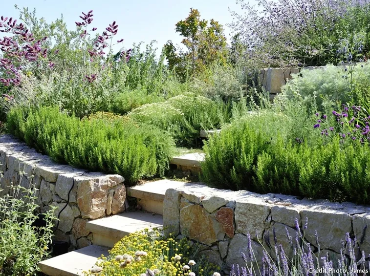 giardini a terrazze