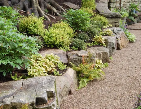 giardino roccioso