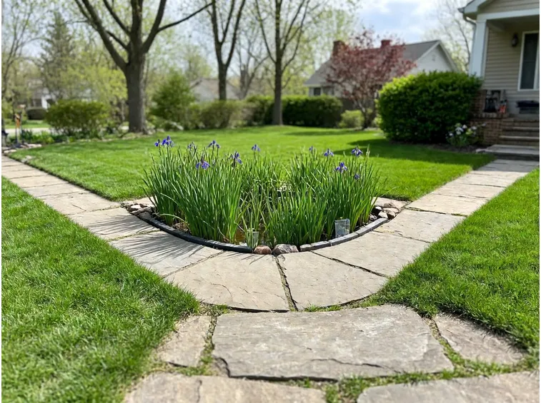 Cos'è un giardino della pioggia e dove conviene collocarlo