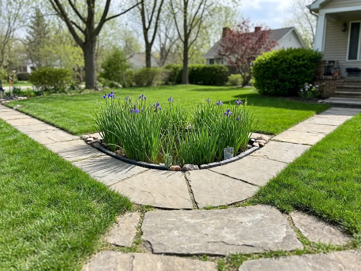 Cos'è un giardino della pioggia e dove conviene collocarlo