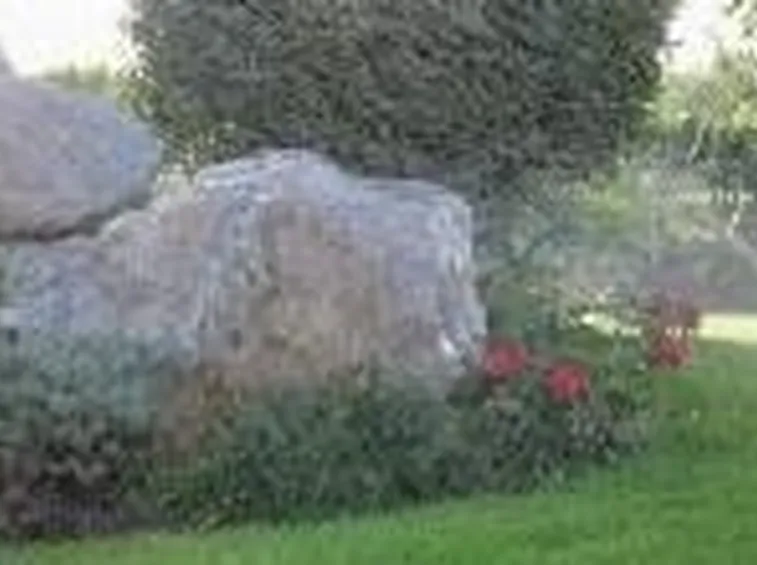 irrigazione