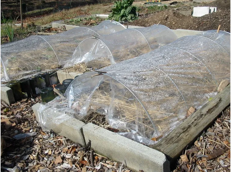giardinaggio di novembre