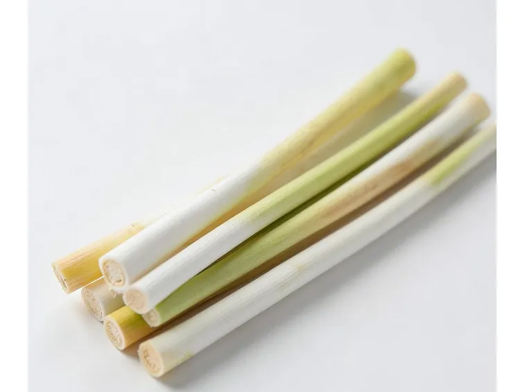 citronella bastoni