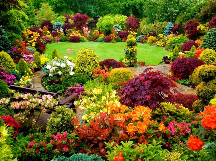 giardino