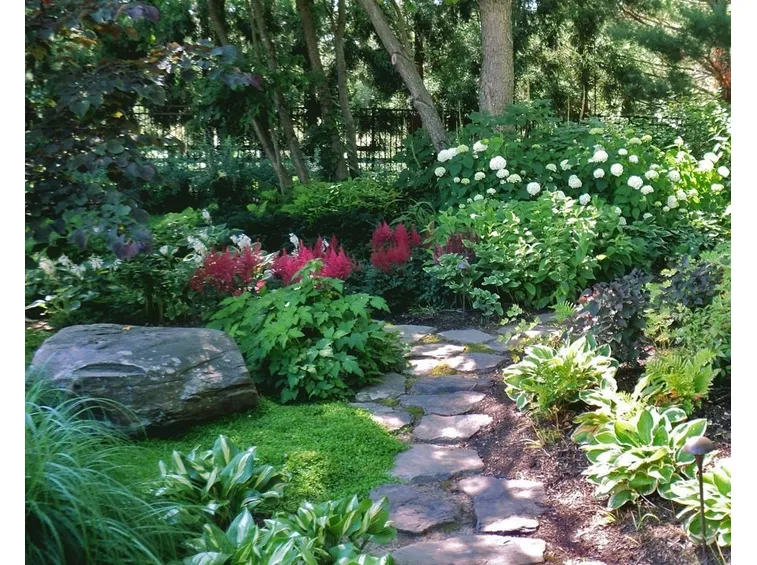 giardino ombra
