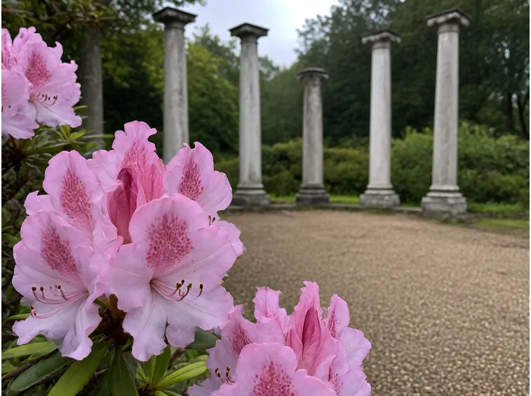 Harlow Carr