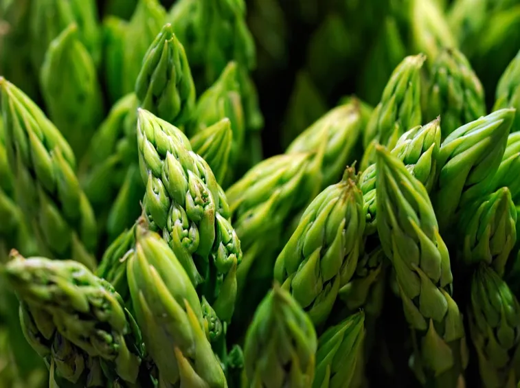Asparagi
