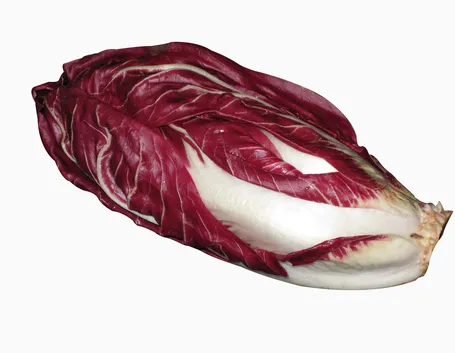 radicchio