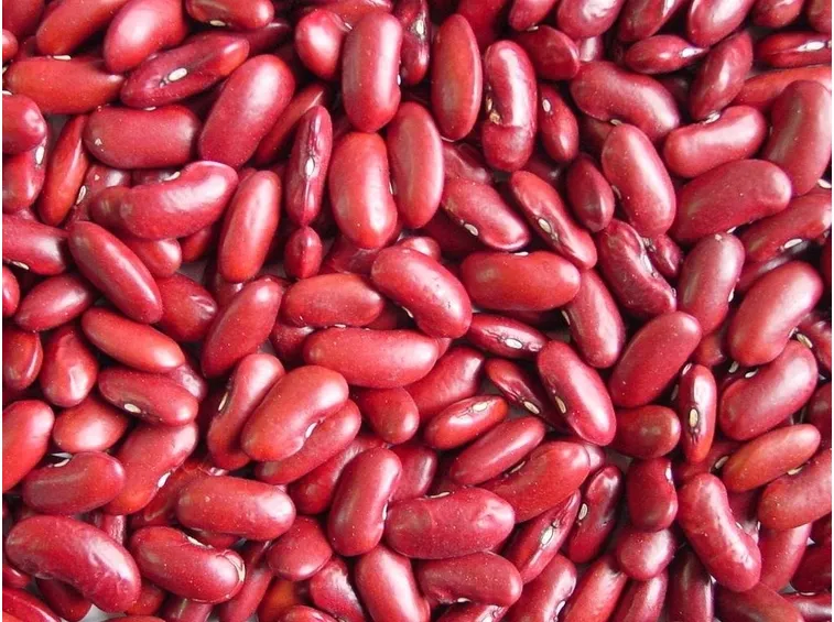 fagiolo rosso