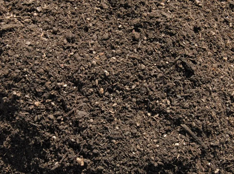 terreno melone