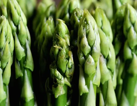asparagi