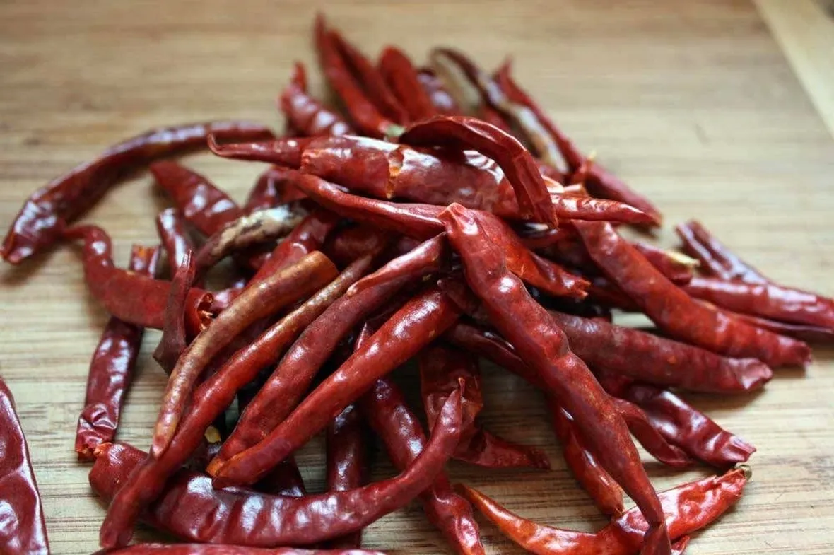 varietà di peperoncini: peperoncino de Arbol