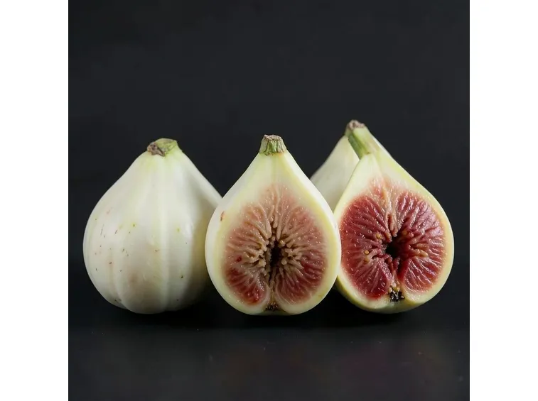 Fichi bianchi