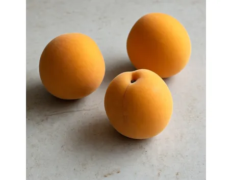 Albicocche