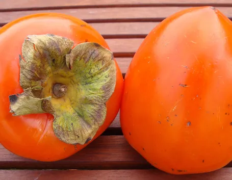 Frutto cachi
