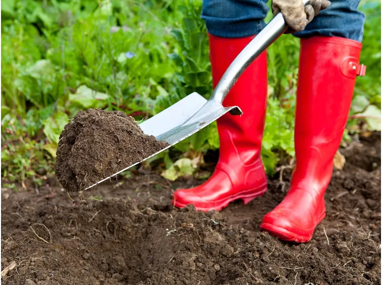 lavori nell'orto