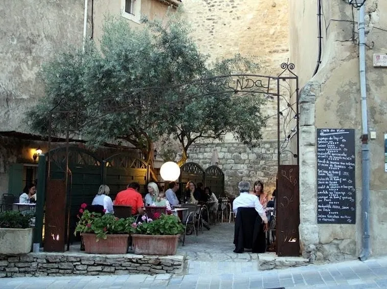 pianta d'olivo a Ménerbes