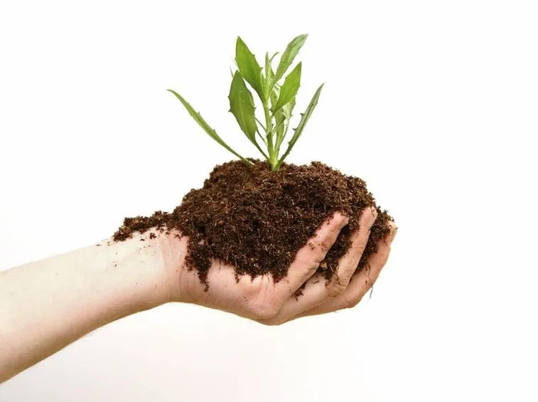 fertilizzanti agricoltura biologica