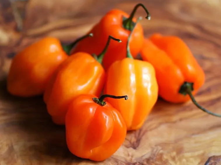 Peperoncini Habanero