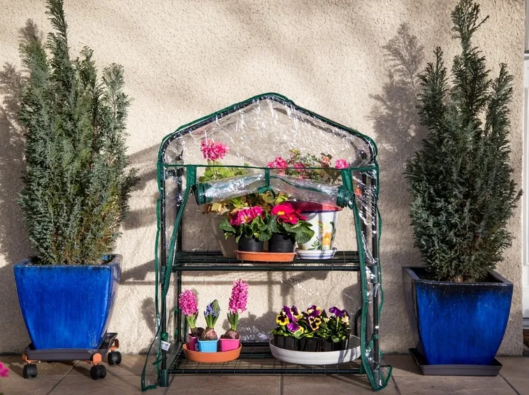 mini serra da balcone
