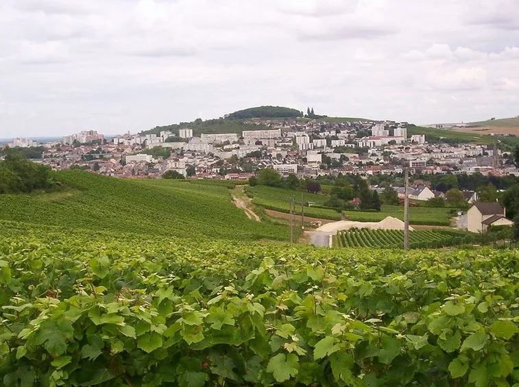 Spettacolari vigneti ad Épernay