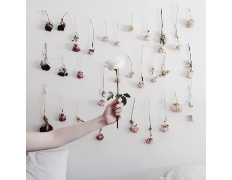 fiori secchi