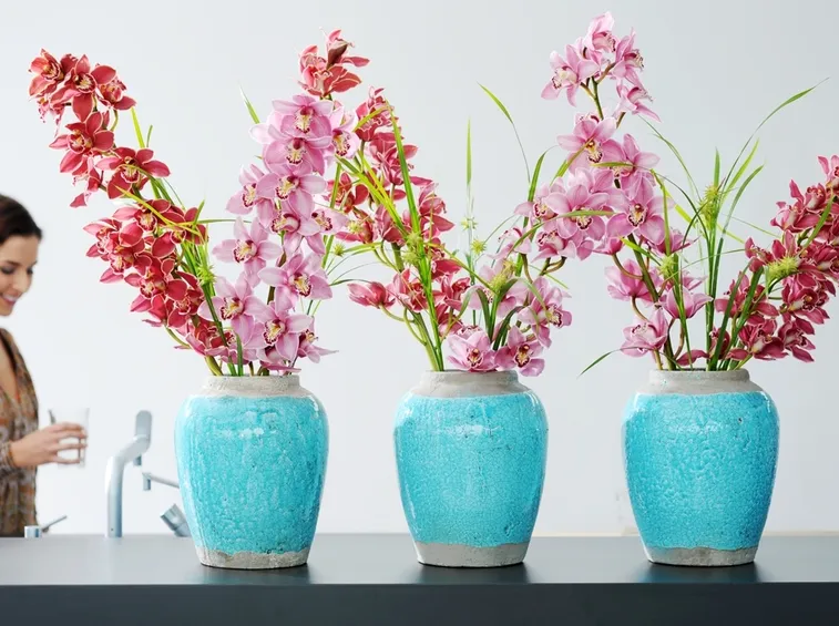 orchidee