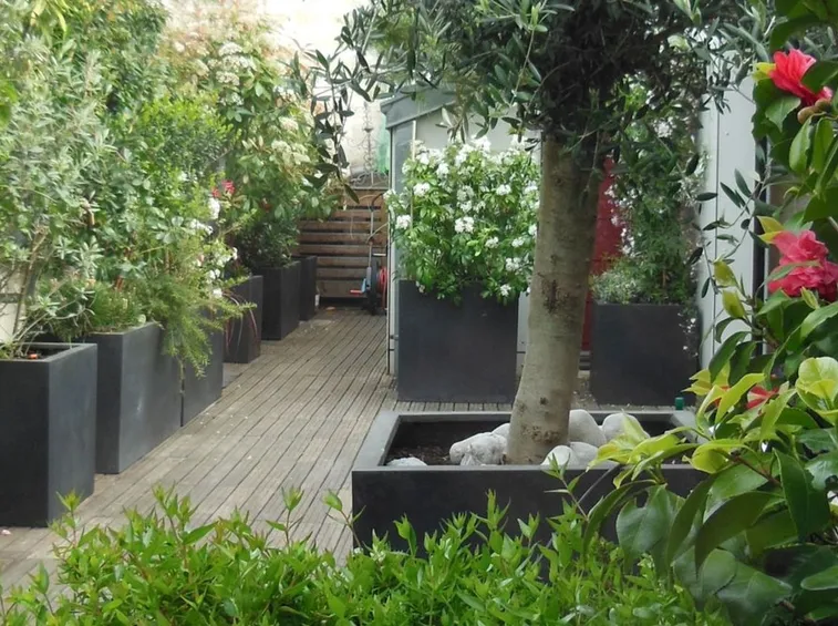 piante in vaso