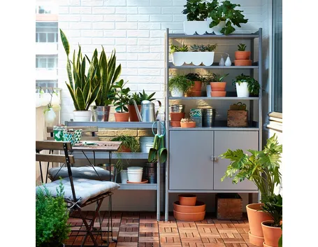 Piante verdi da balcone