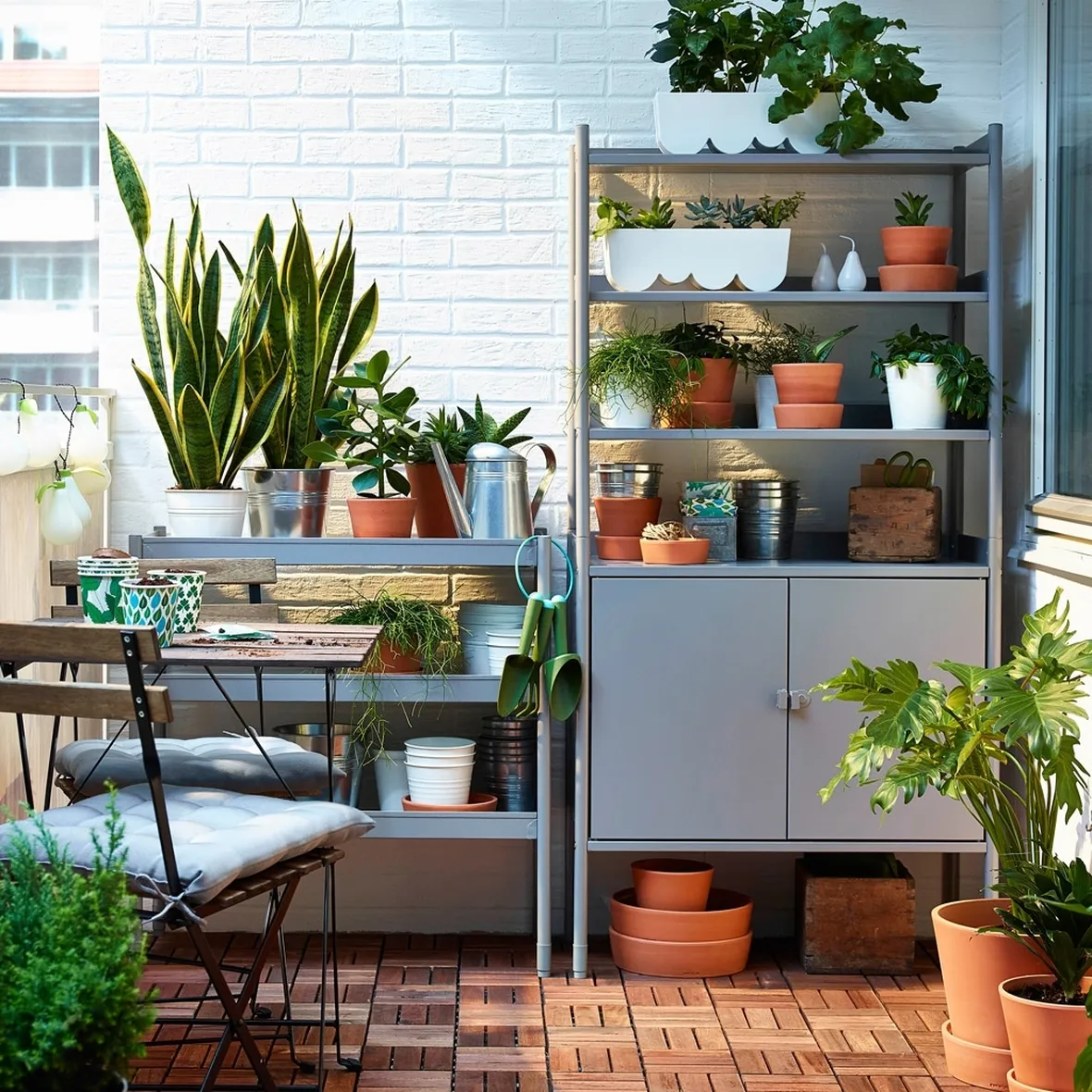 Piante verdi da balcone