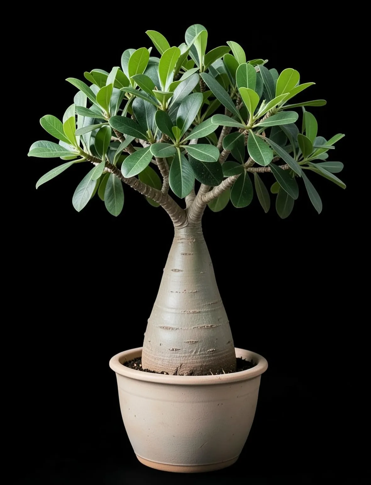 Tlecodon