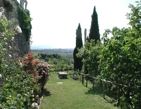 Rosazzo da Rosa