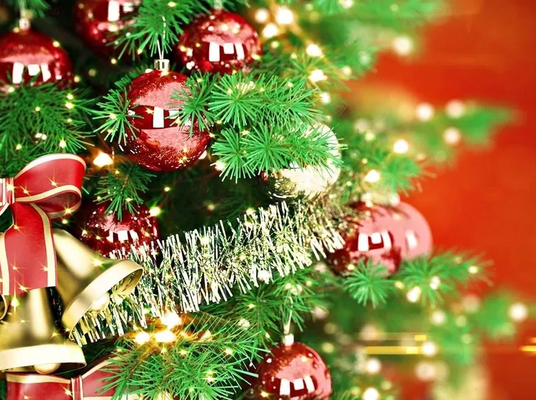 corona di ilex