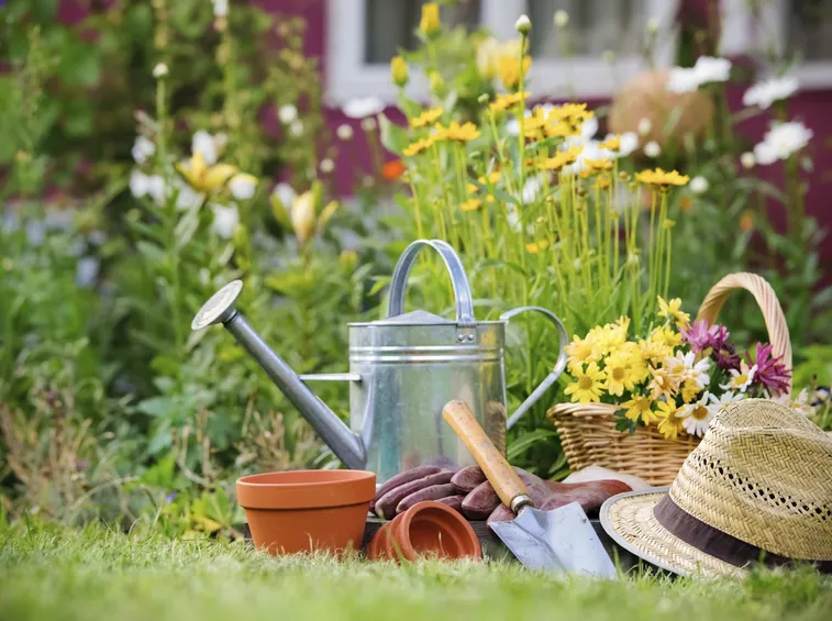 speciali di giardinaggio.live